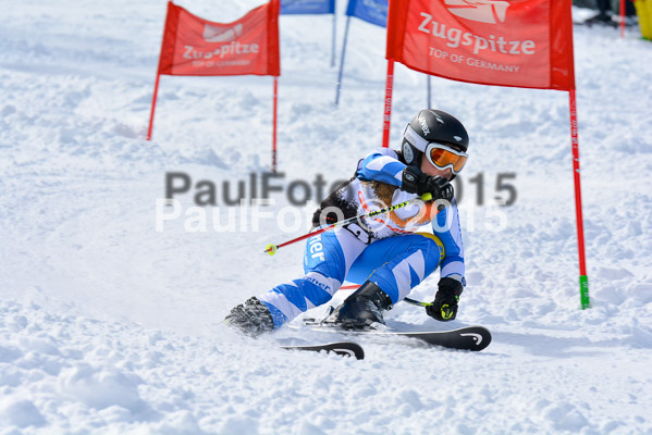 Ziener Cup Finale 2015