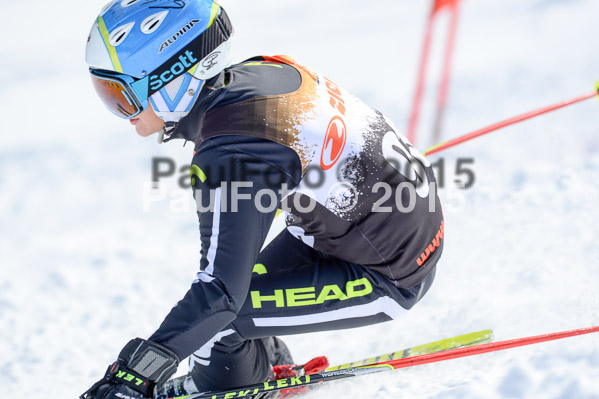 Ziener Cup Finale 2015