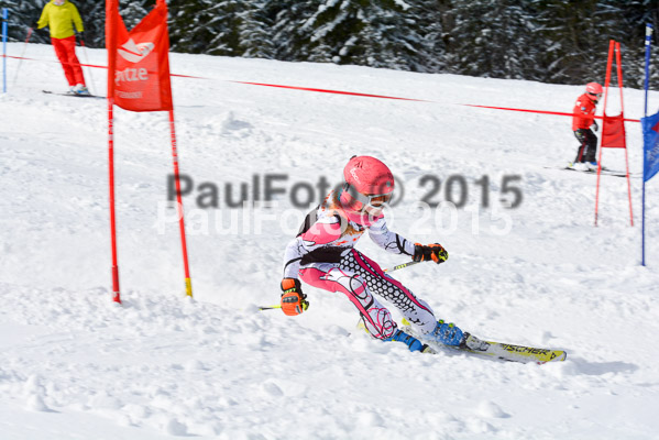 Ziener Cup Finale 2015