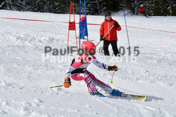 Ziener Cup Finale 2015