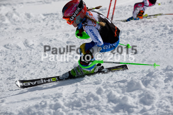 Ziener Cup Finale 2015
