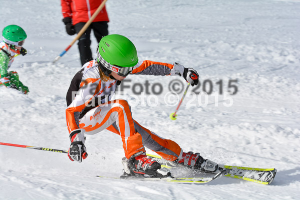 Ziener Cup Finale 2015
