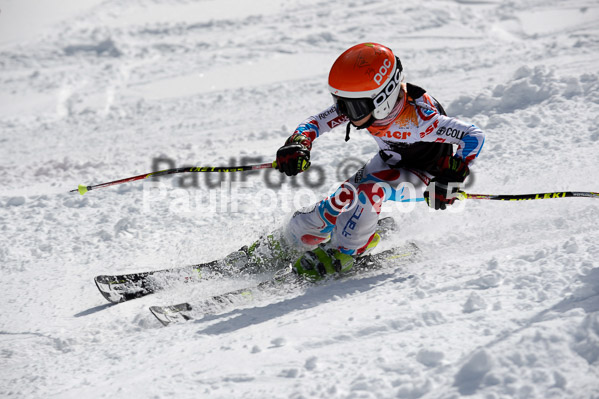 Ziener Cup Finale 2015