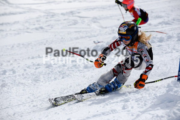 Ziener Cup Finale 2015