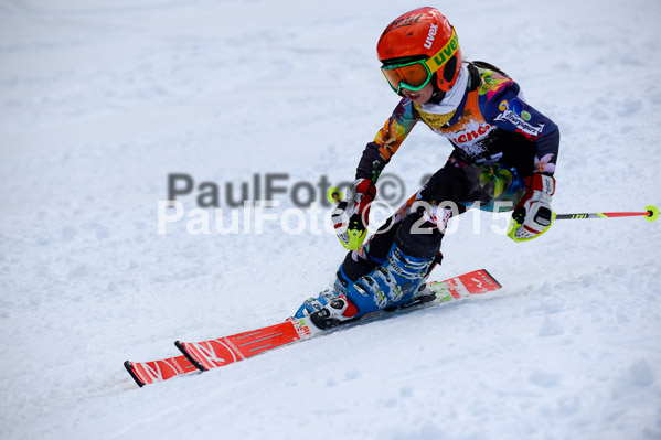 Ziener Cup Finale 2015