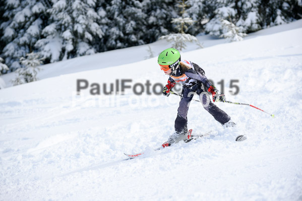 Ziener Cup Finale 2015