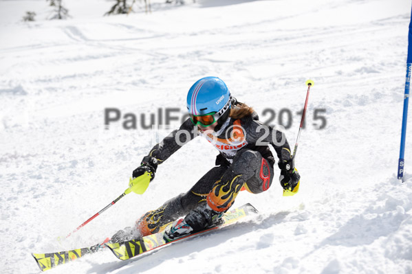 Ziener Cup Finale 2015