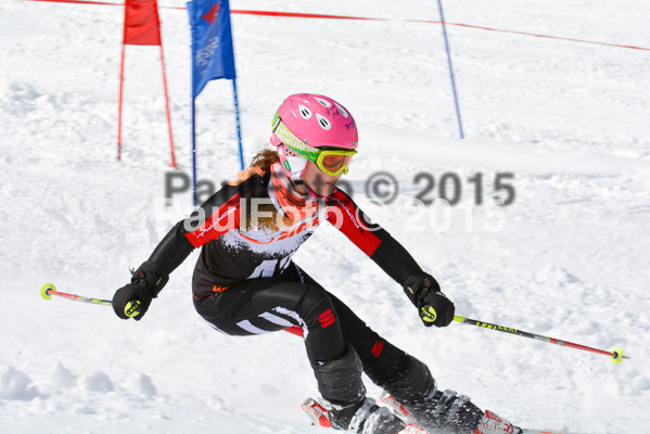 Ziener Cup Finale 2015