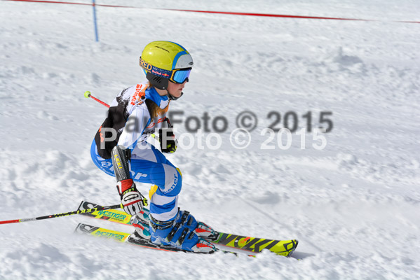 Ziener Cup Finale 2015