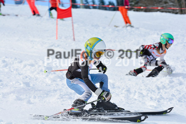 Ziener Cup Finale 2015