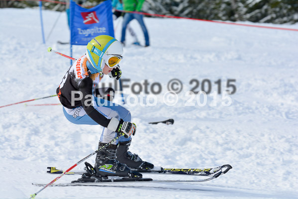 Ziener Cup Finale 2015