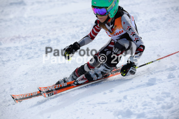 Ziener Cup Finale 2015