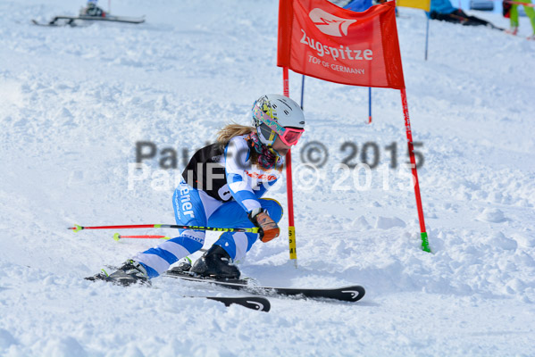 Ziener Cup Finale 2015