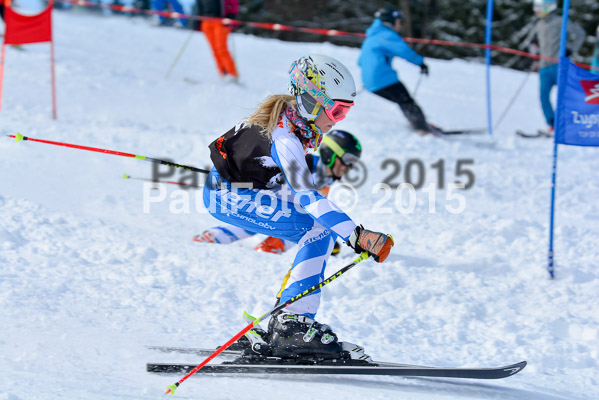 Ziener Cup Finale 2015