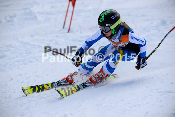 Ziener Cup Finale 2015