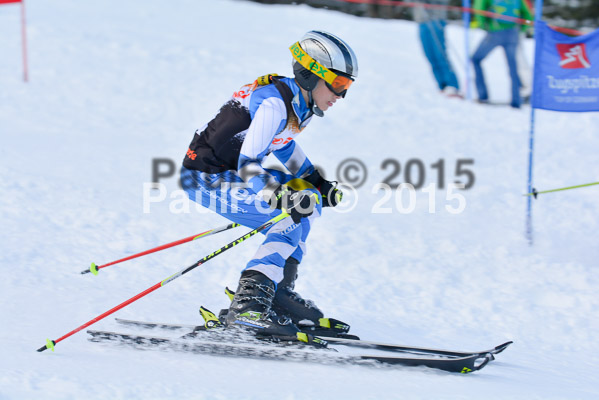 Ziener Cup Finale 2015