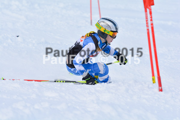 Ziener Cup Finale 2015