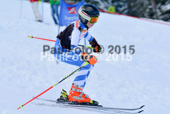 Ziener Cup Finale 2015