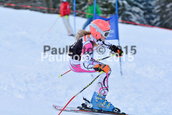Ziener Cup Finale 2015