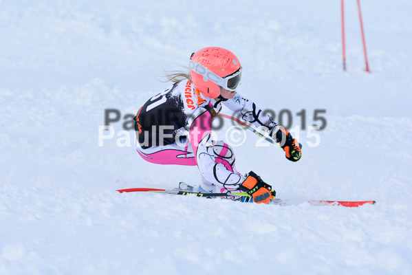 Ziener Cup Finale 2015