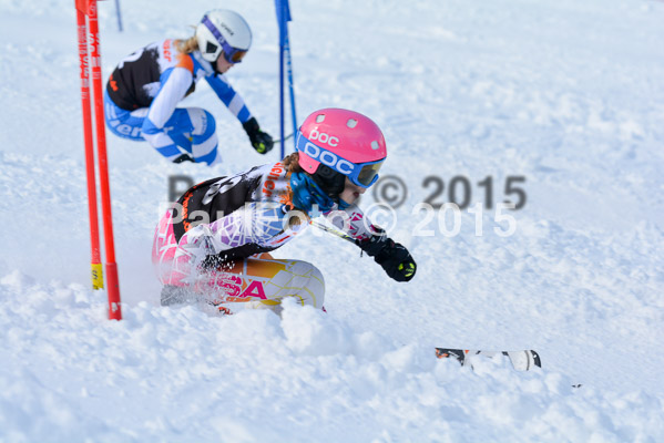 Ziener Cup Finale 2015
