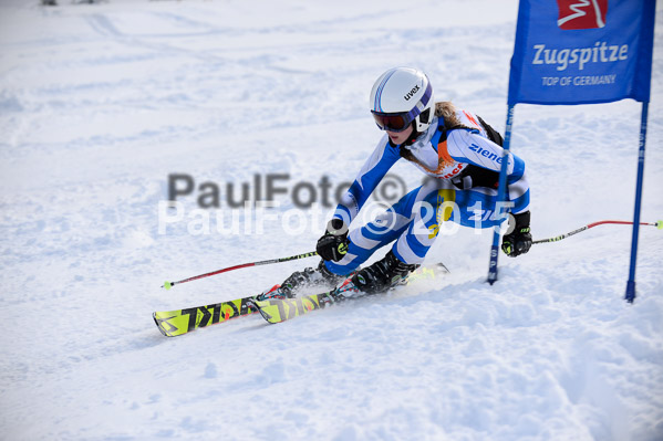 Ziener Cup Finale 2015