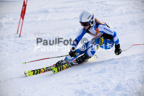 Ziener Cup Finale 2015
