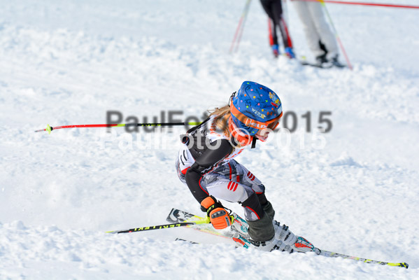 Ziener Cup Finale 2015