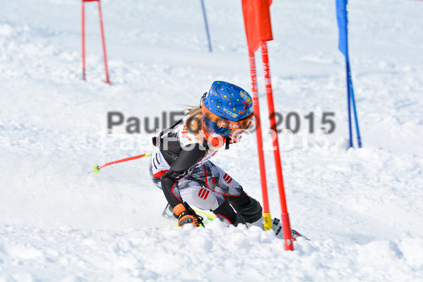Ziener Cup Finale 2015