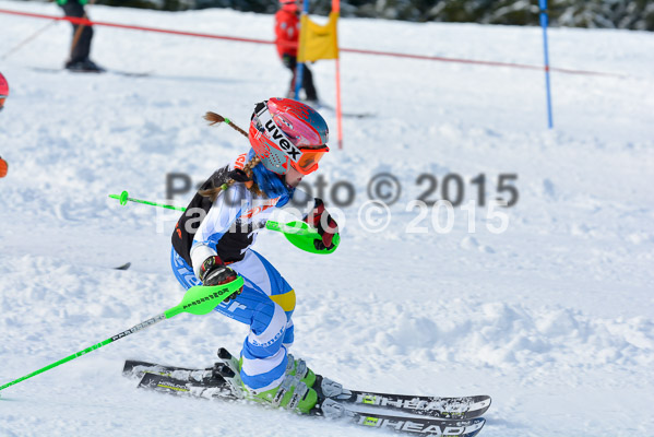 Ziener Cup Finale 2015