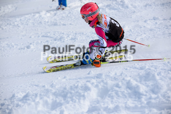 Ziener Cup Finale 2015