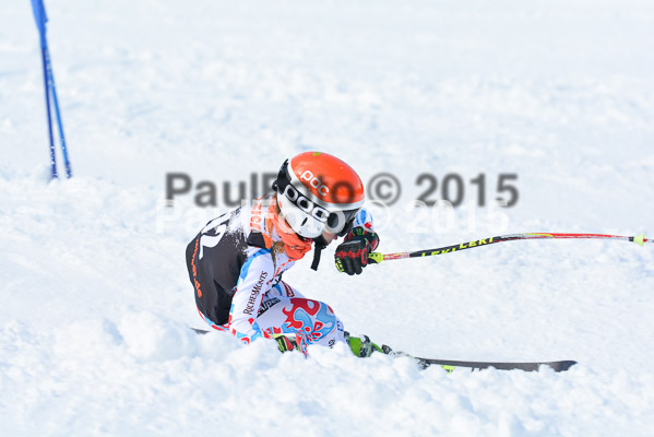 Ziener Cup Finale 2015
