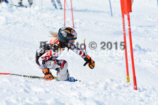 Ziener Cup Finale 2015