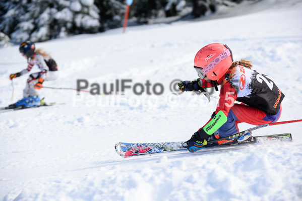 Ziener Cup Finale 2015