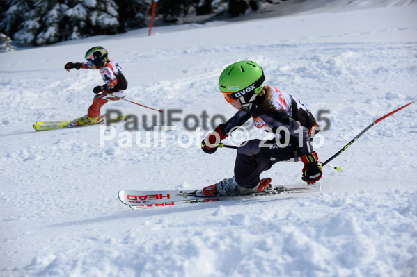 Ziener Cup Finale 2015