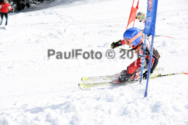 Ziener Cup Finale 2015