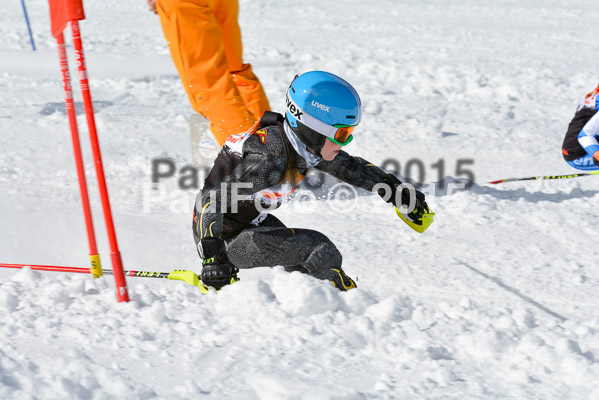 Ziener Cup Finale 2015