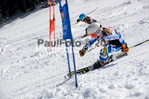 Ziener Cup Finale 2015