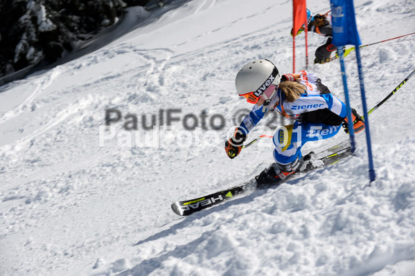 Ziener Cup Finale 2015