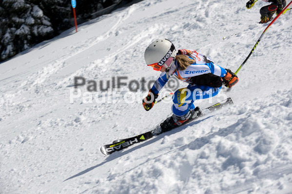 Ziener Cup Finale 2015