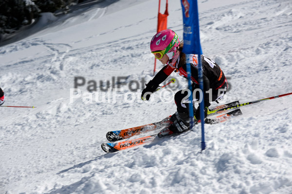 Ziener Cup Finale 2015