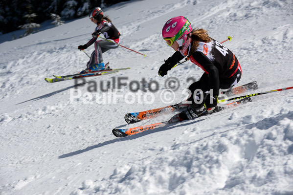 Ziener Cup Finale 2015