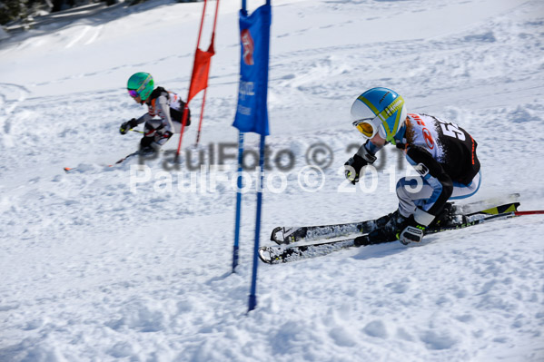 Ziener Cup Finale 2015