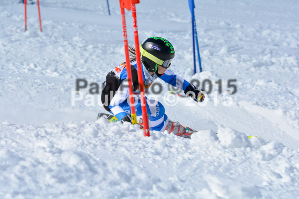 Ziener Cup Finale 2015