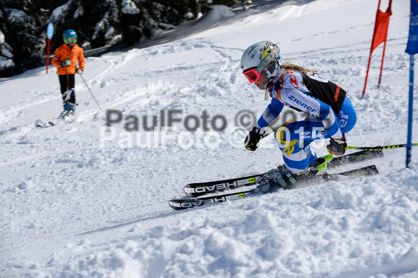 Ziener Cup Finale 2015