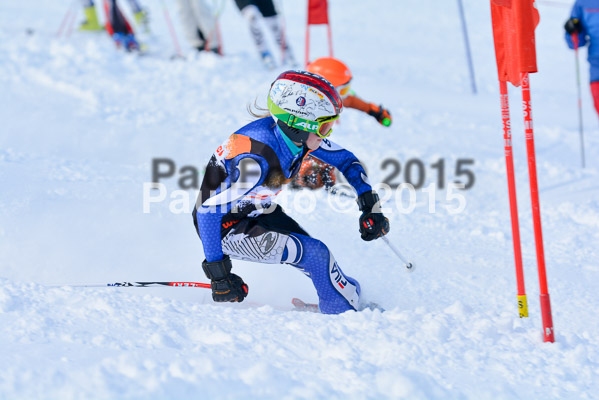 Ziener Cup Finale 2015