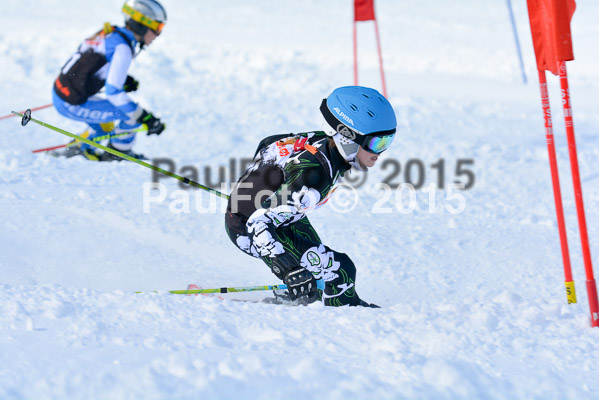 Ziener Cup Finale 2015