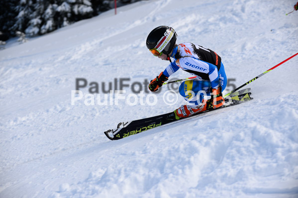 Ziener Cup Finale 2015