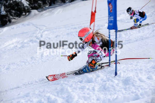 Ziener Cup Finale 2015