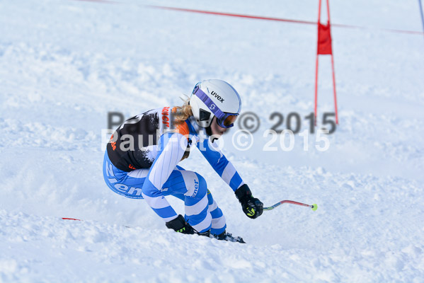 Ziener Cup Finale 2015